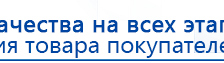 СКЭНАР-1-НТ (исполнение 01)  купить в Ярославле, Аппараты Скэнар купить в Ярославле, Медицинский интернет магазин - denaskardio.ru